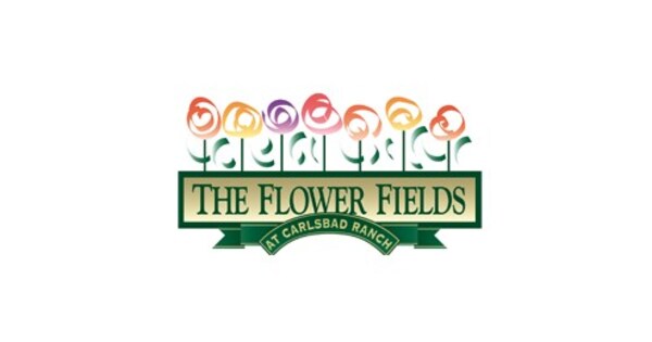 The Flower Fields Are Blooming and Ready For Visitors on March 1 The Flower Fields Are Blooming and Ready For Visitors on March 1