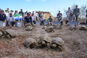 NATIONAL GEOGRAPHIC-LINDBLAD EXPEDITIONS' TRAVELERS HELP BRING GIANT TORTOISES BACK TO FLOREANA ISLAND