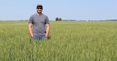 DUC specialist Alex Griffiths inspects winter wheat at the Higgott farm near Newdale, M.B. in 2021. Credit: Ducks Unlimited Canada (CNW Group/Ducks Unlimited Canada)