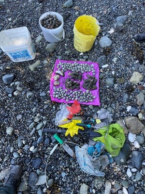 Two harvesters fined a combined $10,500 for illegal shellfish harvesting and obstruction in Nanoose Bay