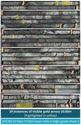 Figure 3: Drill Core Tray Photo Highlighting the Visible Gold Observed within a Core Section from Drill Hole APC150-D1; Assays Pending (CNW Group/Collective Mining Ltd.)
