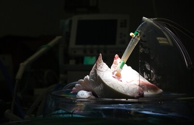 As Canada's top research hospital, the scope of biomedical research and complexity of cases at UHN have made it a national and international source for discovery, education and patient care. (CNW Group/University Health Network)