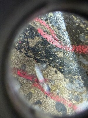 Figure 2: Drillhole photograph taken of drillhole PAL0406 from the Palokas Au-Co zone of mineralization from Rajapalot, where visible gold is observed at 111m downhole depth. Gold grains have formed alongside the salvages of a pyrrhotite-quartz vein. (CNW Group/Goldsky Resources Corp.)