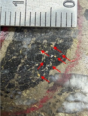 Figure 2: Drillhole photograph taken of drillhole PAL0406 from the Palokas Au-Co zone of mineralization from Rajapalot, where visible gold is observed at 111m downhole depth. Gold grains have formed alongside the salvages of a pyrrhotite-quartz vein. (CNW Group/Goldsky Resources Corp.) Figure 2: Drillhole photograph taken of drillhole PAL0406 from the Palokas Au-Co zone of mineralization from Rajapalot, where visible gold is observed at 111m downhole depth. Gold grains have formed alongside the salvages of a pyrrhotite-quartz vein. (CNW Group/Goldsky Resources Corp.)
