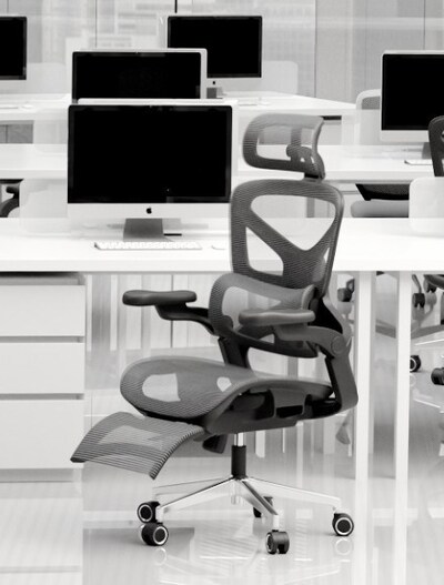 Boulies EP500 ergonomic chair