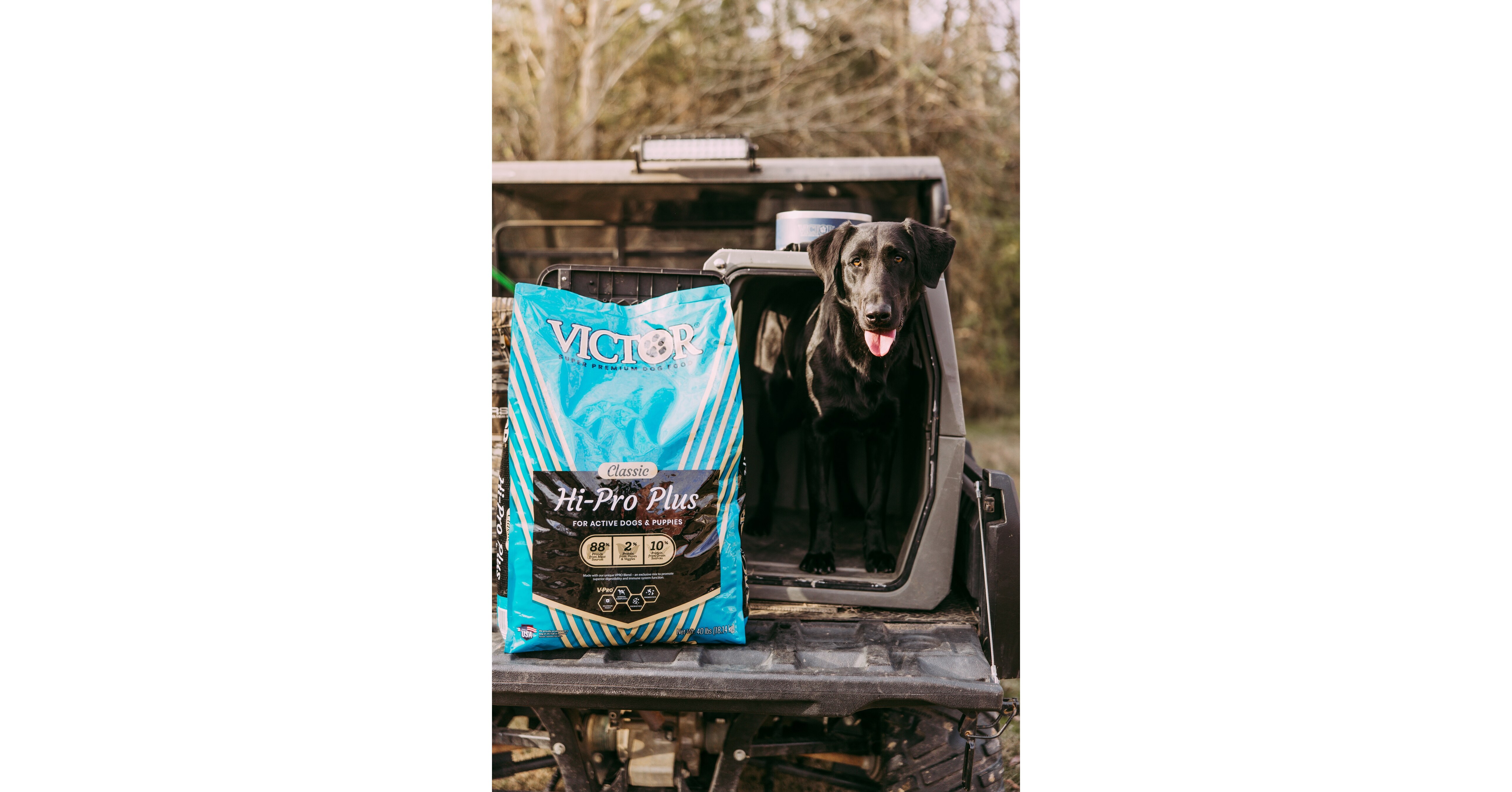 POWERED BY PROTEIN: VICTOR PET FOOD SHARES WHAT EVERY PET PARENT SHOULD LOOK FOR IN THE PET FOOD AISLE