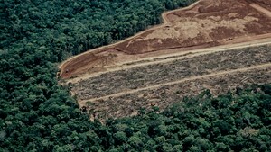 ICEYE launches deforestation monitoring solution to accelerate enforcement against illegal tropical forest loss