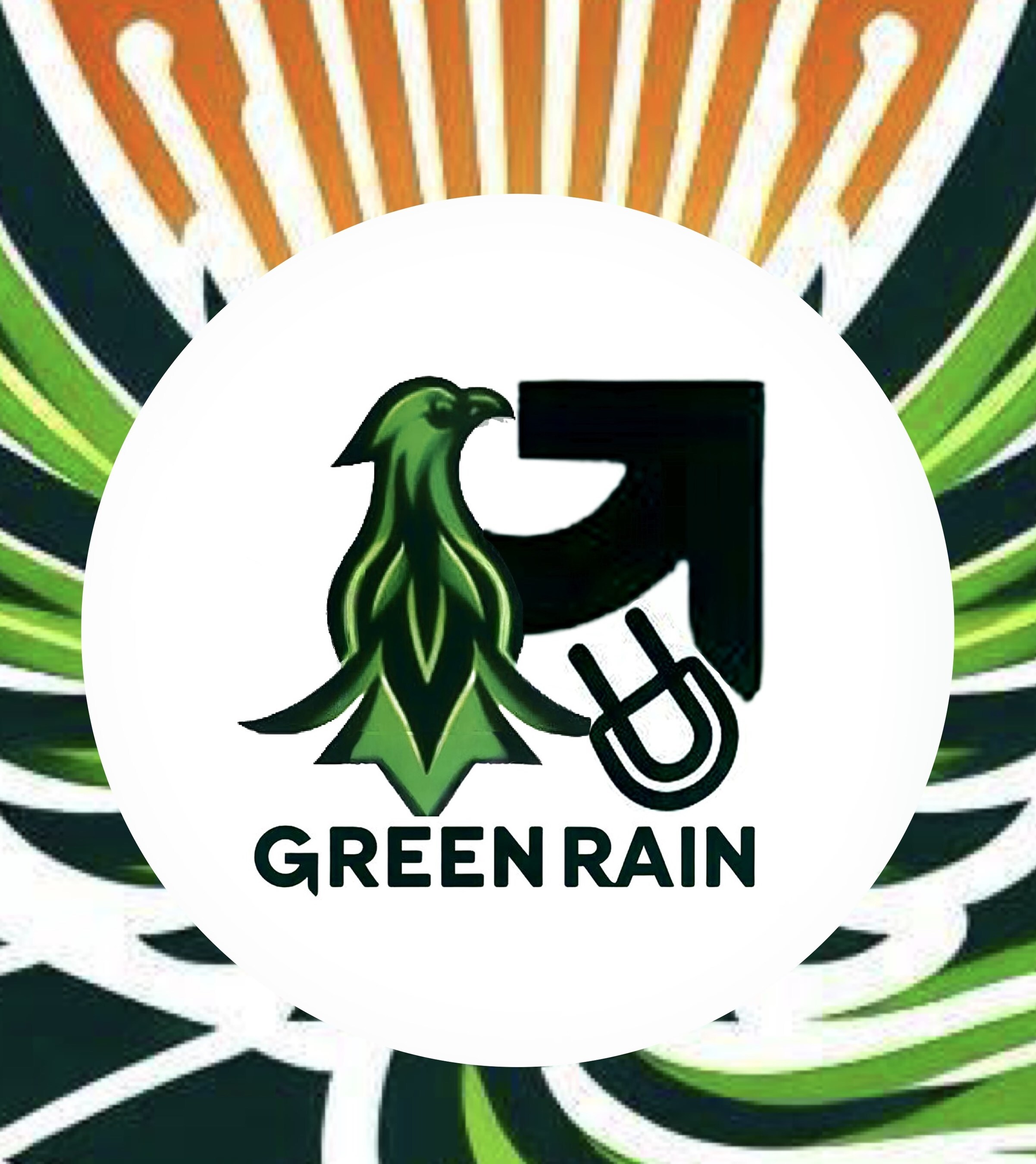 Green Rain Energy Holdings Inc. (OTC: GREH) Announces March 31, 2026 Record Date for Special Stock Dividend