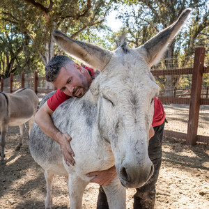 A Show About Donkeys Is Quietly Becoming the Most Unifying Thing on Television
