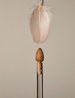 ILIA Skin Blur Serum Concealer (PRNewsfoto/ILIA Beauty)