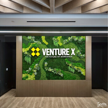 Venture X Moss Wall
