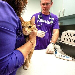 From One Shot to Lifelong Vet Care: 4 Million Free Pet Vaccines and Counting