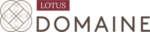 Lotus Domaine Fund III, LP Announces Strategic Investment Relationship with OPENVC Fund I, LP
