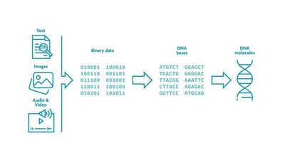 Atlas and imec’s new strategic partnership aims to accelerate the development of digital data storage using synthetic DNA. Atlas and imec’s new strategic partnership aims to accelerate the development of digital data storage using synthetic DNA.
