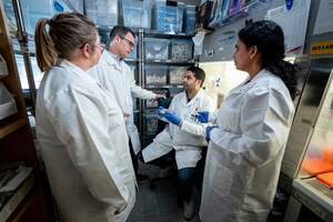 Shared origins illuminate potential dependency across brain tumor types