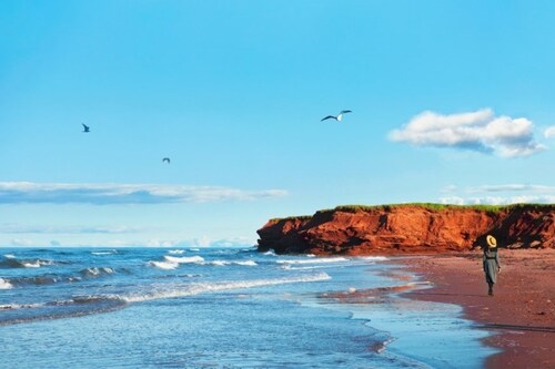Cousins Shore Beach (Photo Credit: Tourism PEI/Stephen Harris)