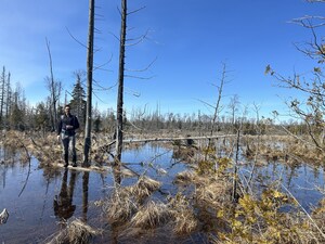 Ontario Nature Permanently Protects Sauble Dunes North