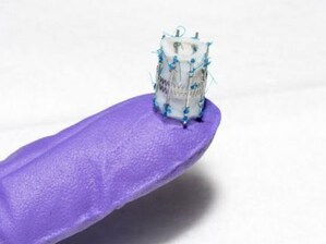 Draper's LEAP Valve Demonstrates Spontaneous "Growth" in Preclinical Studies