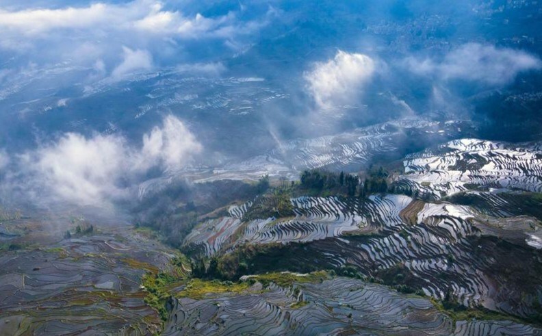 Visitors become entrepreneurs, discover opportunities in Yunnan