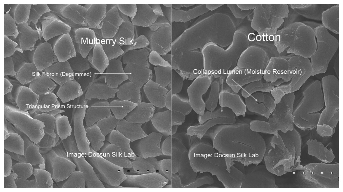 microscopic view silk vs cotton oil absorption