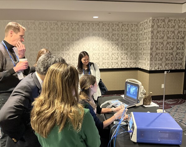 Unable to view the image, Please provide a valid URL.