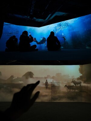 Unable to view the image, Please provide a valid URL.