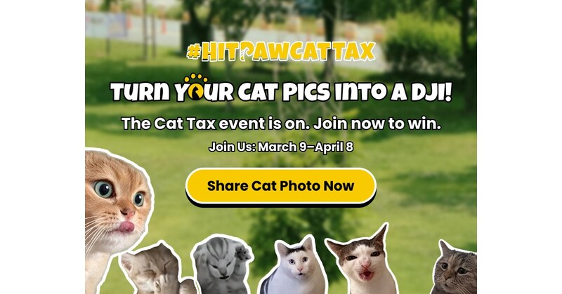 HitPaw Launches Playful 2026 Pay the Cat Tax Campaign -- Win Prizes by Sharing & Caring for Your Cat