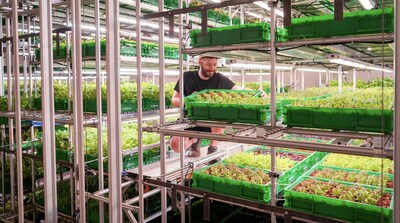 Area 2 Farms is expanding nationwide through franchising, enabling entrepreneurs to launch local indoor farms that deliver fresh, organic produce directly to nearby communities.