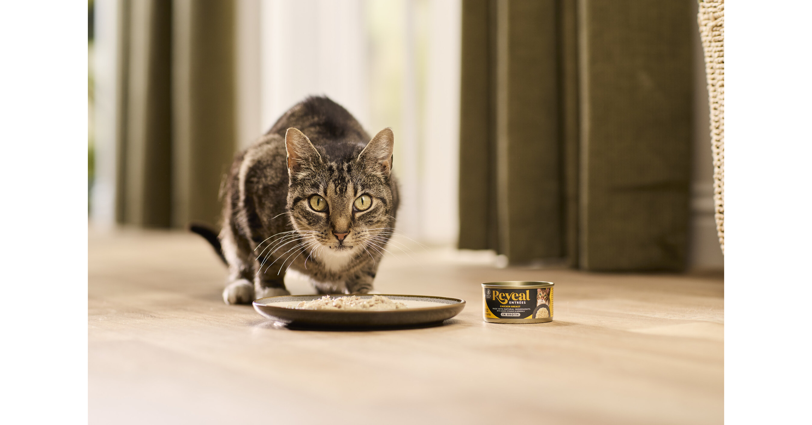 2.0 tofu cat litter brands Altimate Pet Tofu Cat Litter 1.5mm (6L)