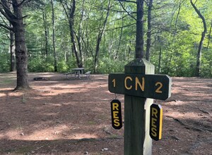 The Dyrt's 2026 Camping Report Finds Camper Cancellation Behavior is Improving