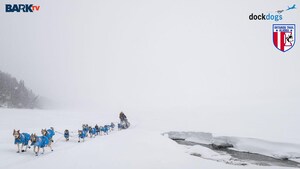 Bark TV, DOGZ Join Forces to Create New Home for All Things Dogs