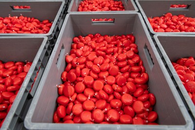 Babybel cheeses made on-site in Brookings, South Dakota. Babybel cheeses made on-site in Brookings, South Dakota.