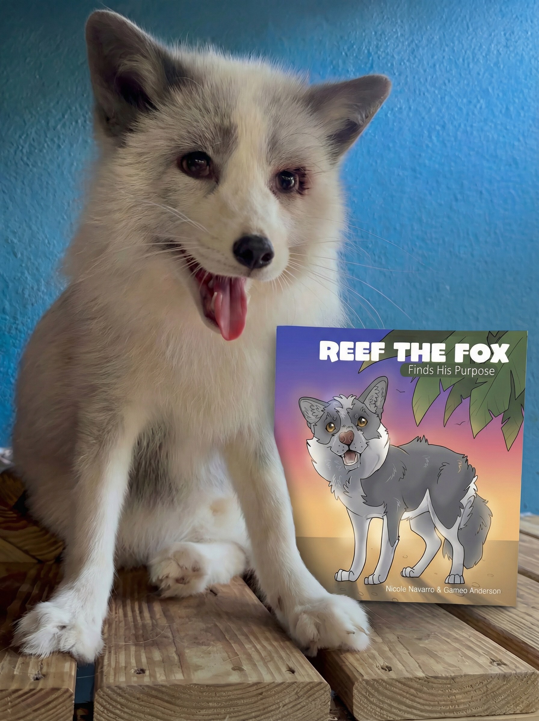 Rescued fox inspires new children's book from Florida sanctuary founder