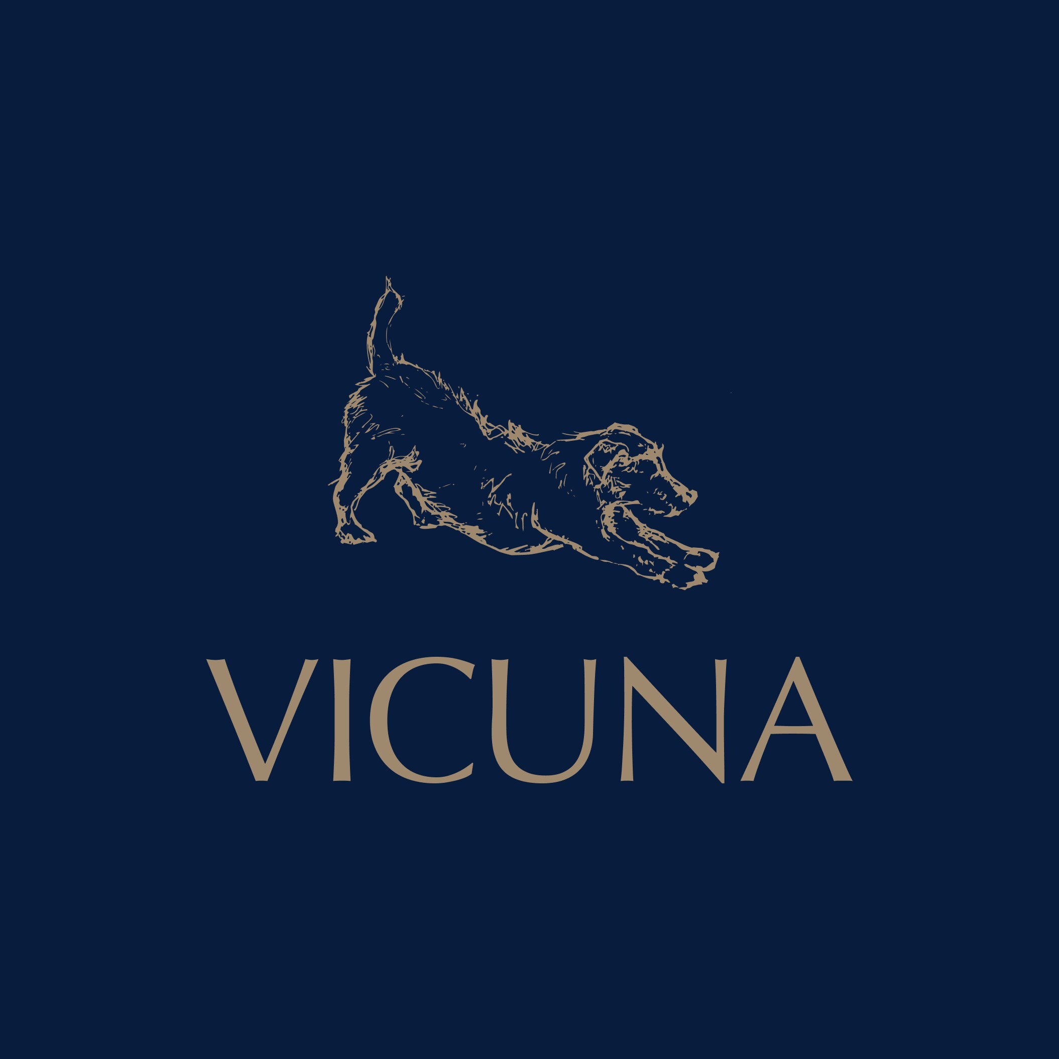 Vicuna Air expands In-Cabin Pet Flights to Amsterdam, Frankfurt, and Brussels
