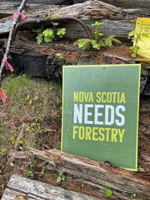 The Climate Trust Partners with Nova Scotia Working Woodlands Trust on its First Canadian IFM Project