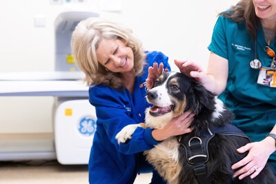 Royal Canin Renews Partnership with The University of Tennessee Veterinary Obesity Center