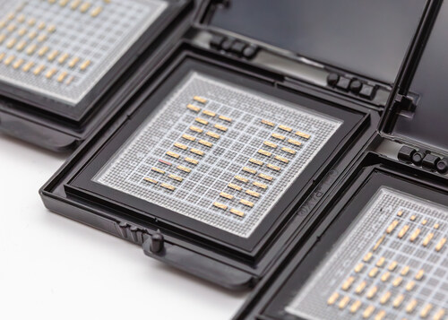 Pilot Photonics laser dies. Pilot Photonics laser dies.