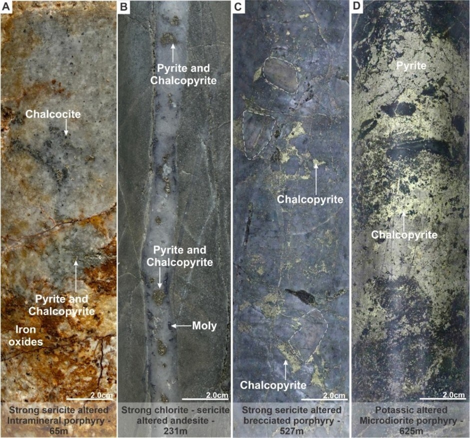 Figure 4. Mineralization and hydrothermal alteration observed in hole MD-056. A). Strong sericite altered Intramineral porphyry with disseminated chalcocite and late iron oxides. B). Strong chlorite - sericite altered Intramineral porphyry with quartz-chalcopyrite-moly veining (B-type). C). Strong sericite altered brecciated porphyry with chalcopyrite as matrix in-fill. D). Potassic altered microdiorite porphyry with massive chalcopyrite and pyrite. (CNW Group/COPPER GIANT RESOURCES CORP.) Figure 4. Mineralization and hydrothermal alteration observed in hole MD-056. A). Strong sericite altered Intramineral porphyry with disseminated chalcocite and late iron oxides. B). Strong chlorite - sericite altered Intramineral porphyry with quartz-chalcopyrite-moly veining (B-type). C). Strong sericite altered brecciated porphyry with chalcopyrite as matrix in-fill. D). Potassic altered microdiorite porphyry with massive chalcopyrite and pyrite. (CNW Group/COPPER GIANT RESOURCES CORP.)