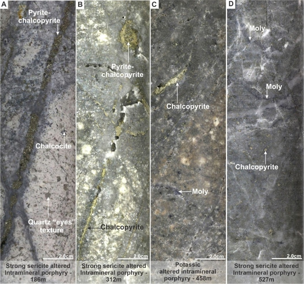Figure 6. Mineralization and hydrothermal alteration observed in hole MD-057. A). Strong sericite altered microtonalite porphyry with quartz “eyes” texture, disseminated chalcocite and late chalcopyrite-pyrite veining. B). Strong sericite altered Intramineral porphyry with C-type veining (chalcopyrite dominant). C). Potassic altered Intramineral porphyry with molybdenite (Moly) disseminated and chalcopyrite veining. D). Strong sericite altered Intramineral porphyry with disseminated chalcopyrite and veining of molybdenite (Moly). (CNW Group/COPPER GIANT RESOURCES CORP.) Figure 6. Mineralization and hydrothermal alteration observed in hole MD-057. A). Strong sericite altered microtonalite porphyry with quartz “eyes” texture, disseminated chalcocite and late chalcopyrite-pyrite veining. B). Strong sericite altered Intramineral porphyry with C-type veining (chalcopyrite dominant). C). Potassic altered Intramineral porphyry with molybdenite (Moly) disseminated and chalcopyrite veining. D). Strong sericite altered Intramineral porphyry with disseminated chalcopyrite and veining of molybdenite (Moly). (CNW Group/COPPER GIANT RESOURCES CORP.)
