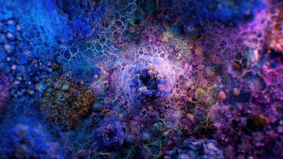 Research reviewing 59 studies shows that manual toothbrushing can leave up to 50 percent of plaque behind, allowing more bacteria to grow overnight.