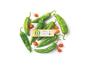 Sartori® Cheese Launches Hatch Chile BellaVitano®