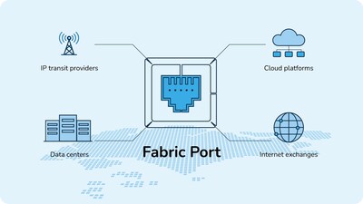 Zenlayer Fabric Port