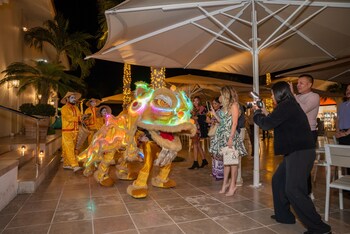 A ceremonial Chinese Dragon ignited the night