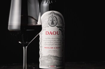 2023 DAOU Soul of a Lion 2