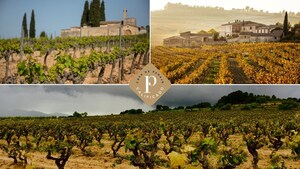 D.O. CAVA Strengthens Its Quality Pyramid with New Integral Producers and Five New Cavas de Guarda Superior Paraje Calificado