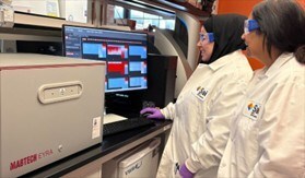 Sai's immunology experts analyzing data on Mabtech EYRA