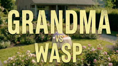 Higgsfield's AI Film Competition Winner, 'Grandma vs Wasp' by Muhannad Nassar and Simon Meyer