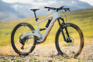 LAUF CYCLES INTRODUCES eELJA, ITS FIRST ELECTRIC BIKE