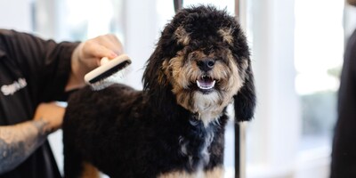 Sparkle Grooming Co. announces the opening of its first Utah salon in West Jordan, bringing its wellness-focused, membership-driven grooming model to the market.