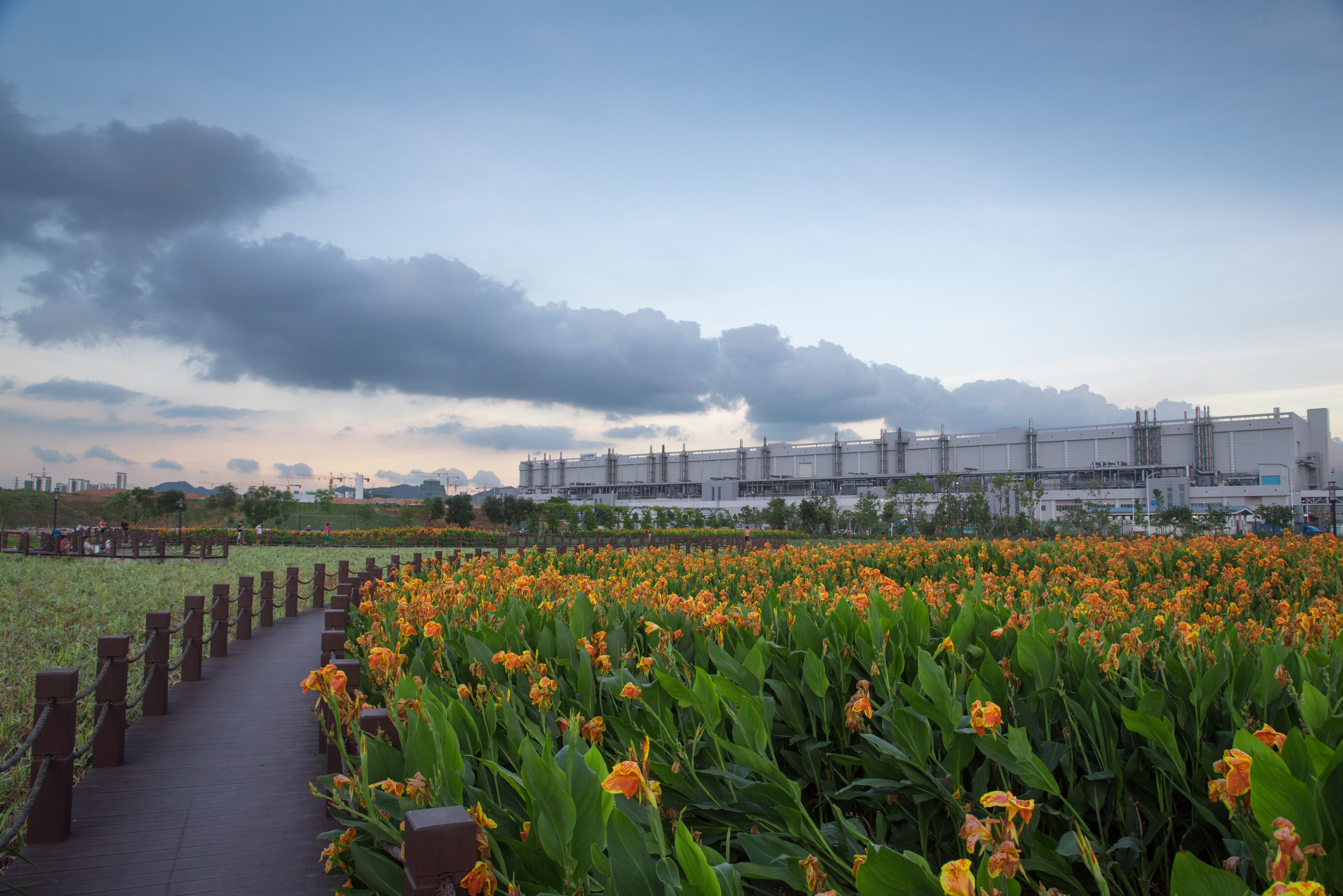 TCL is a "Doer": Embedding ESG to Create Positive Impact acr